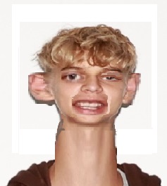 Tobinator